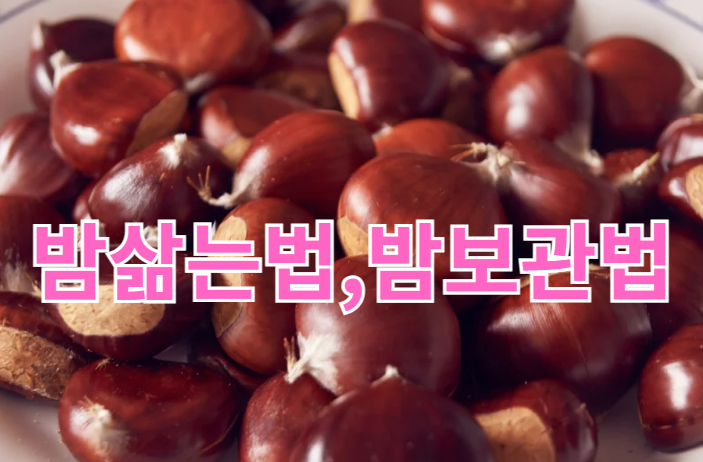밤 삶는법·밤보관법
