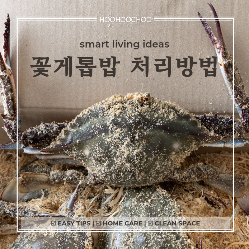 다 쓴 꽃게 톱밥, 버리기 전에 이것부터 확인하세요