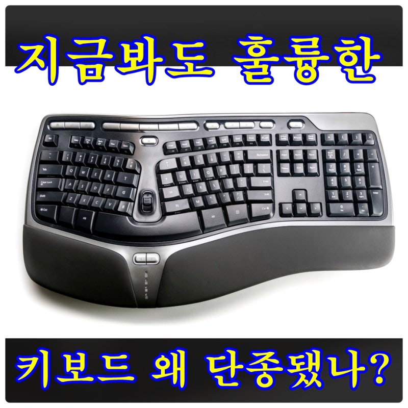지금봐도 훌륭한 마이크로소프트 내추럴 키보드 MS Ergonomic Keyboard 4000 v1.0 왜 단종되었나?