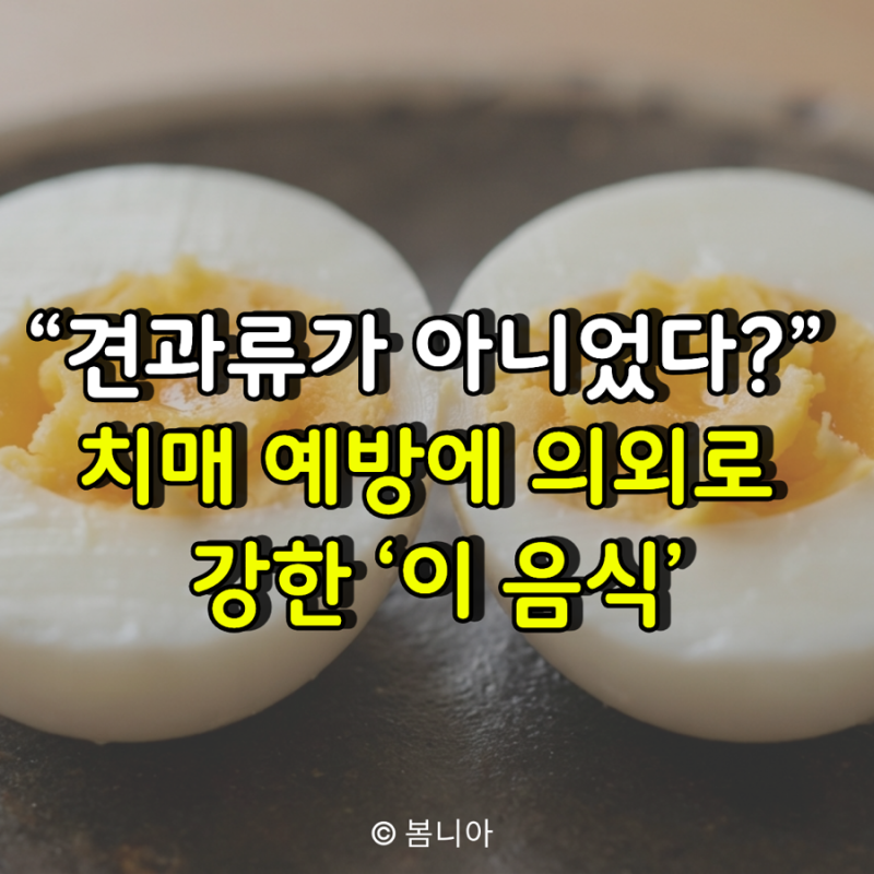 “견과류가 아니었다?” 치매 예방에 의외로 강한 ‘이 음식’