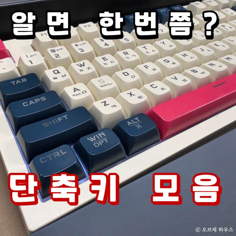 "자주 쓰는 단축키" 자주 쓰는 윈도우11 단축키 모음