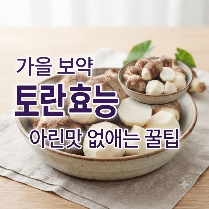 토란 효능과 부작용 손질법 아린맛 없애는 법 토란탕 끓이는 법