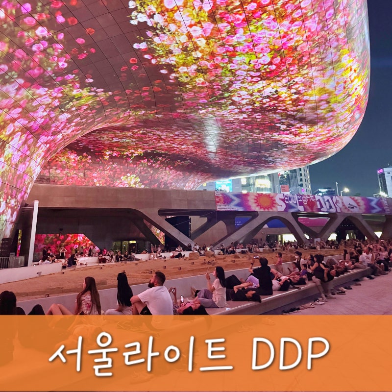 서울라이트 DDP 2026 가을 일정 주차 팁 (공연 라인업 총정리)