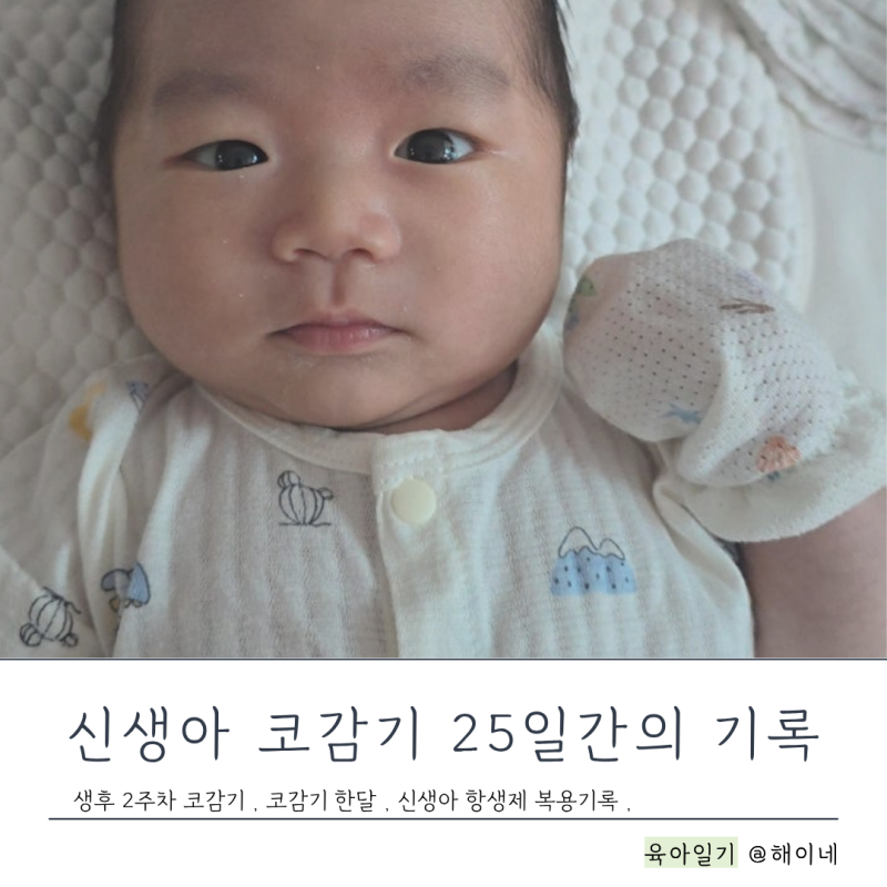 신생아 코감기 25일 기록 | 생후 2주 신생아 코감기 | 신생아 콧물감기 한 달 | 신생아 항생제 |....