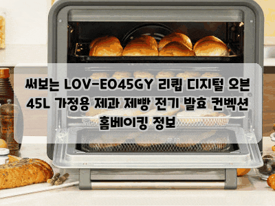 써보는 LOV-EO45GY 리큅 디지털 오븐 45L 가정용 제과 제빵 전기 발효 컨벡션 홈베이킹 정보