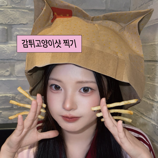 맥도날드 감튀고양이샷 모자 접는법