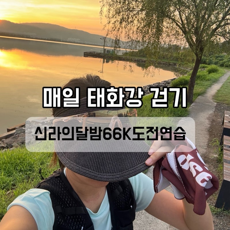 경주 신라의 달밤 165리 걷기 준비｜오전 태화강 매일 걷기