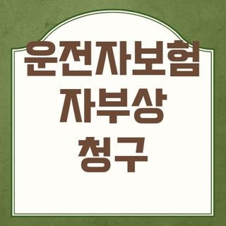 운전자보험 자부상 청구 방법 서류 꿀팁 완벽정리, 직접 해본 실제 후기