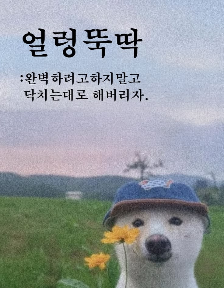 집에서 하는 셀프 한정선 만들기! 초간단 찹쌀떡 레시피