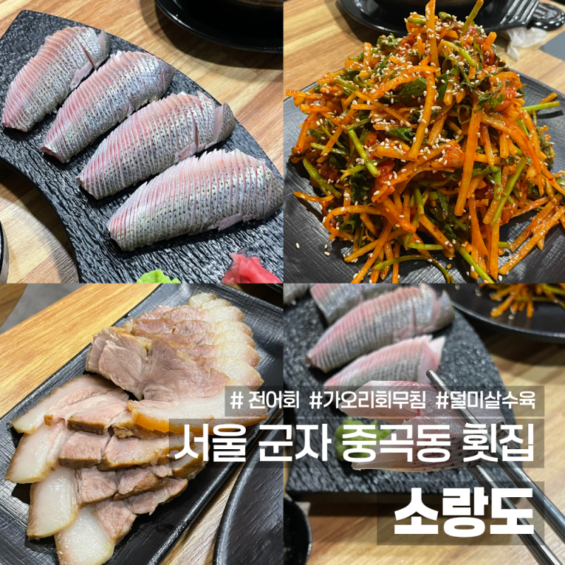 서울 광진구 군자 횟집 소랑도 전어회 노랑가오리회무침 수육 맛집 추천 주말 웨이팅 후기