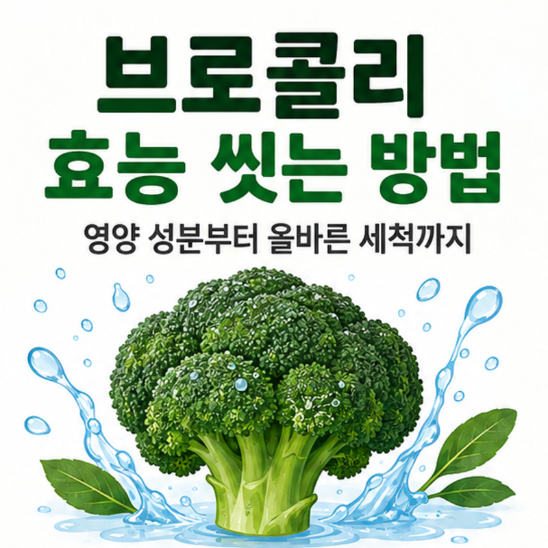 브로콜리 효능 씻는 방법, 영양부터 세척까지