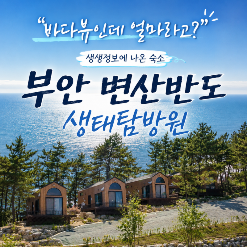 변산반도 생태탐방원 숙소 생생정보 방송 보고 바로 예약창 열어봤더니