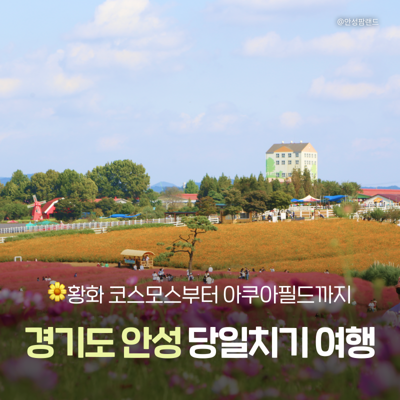 9월 가볼만한곳 서울 근교 안성 당일치기 :: 아쿠아필드·안성팜랜드 코스모스·미리내성지 ....