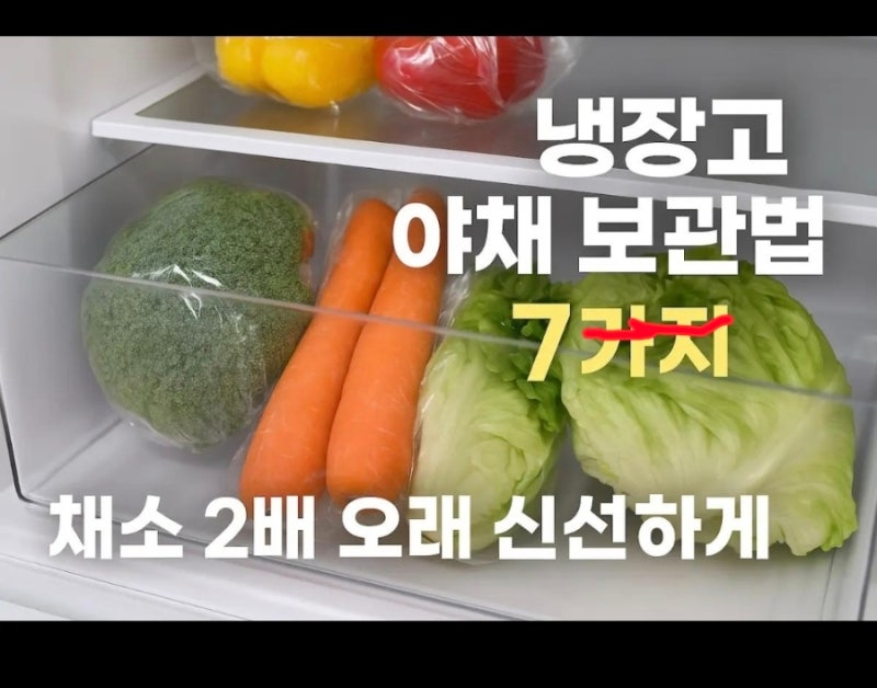 냉장고 속 식재료 오래 보관하는 방법｜채소별 보관법 총정리