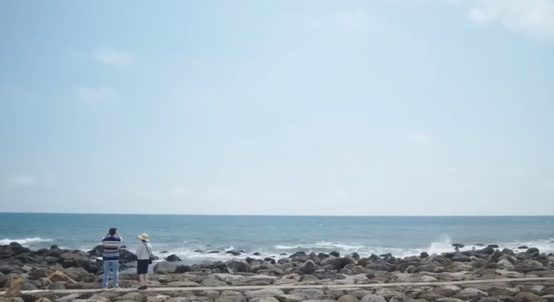 제주도여행 | 이상한 변호사 우영우 드라마 촬영지 방문기
