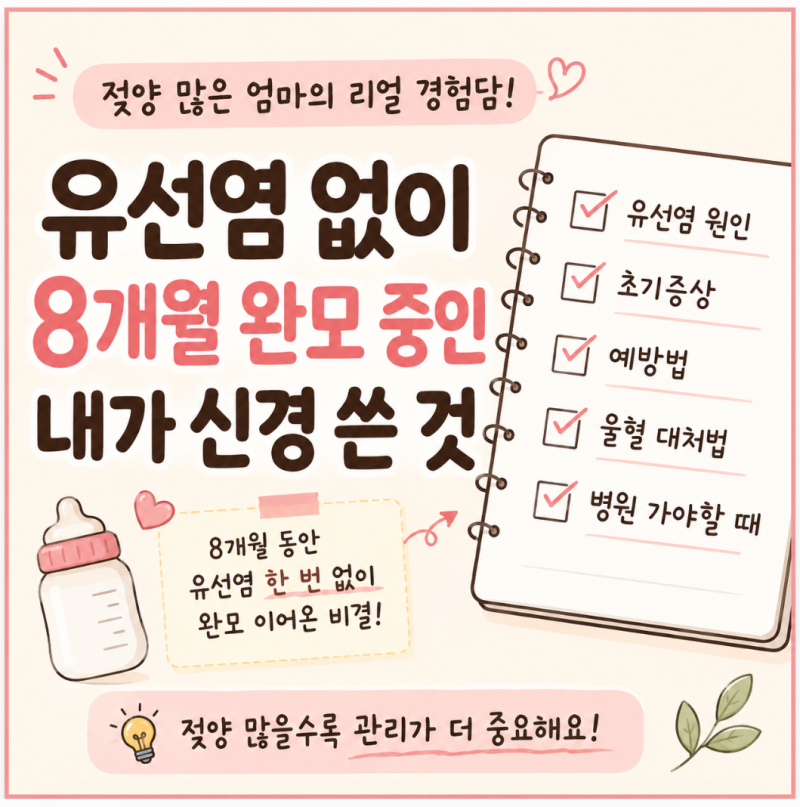 유선염 없이 8개월 완모 중인 내가 신경 쓴 것