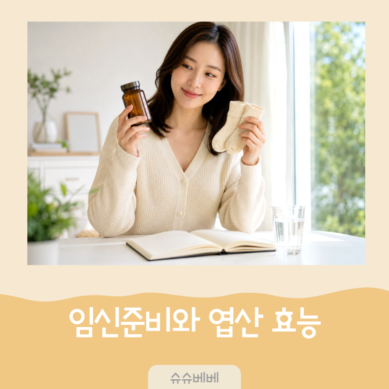 임신준비 엽산 효능과 임산부 엽산 복용시기, 언제부터 먹어야 할까?