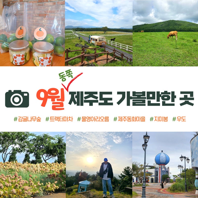 9월 제주도 가볼만한 곳은? 가을에 더 좋은 제주 동쪽 1박 2일 여행지(여행코스)