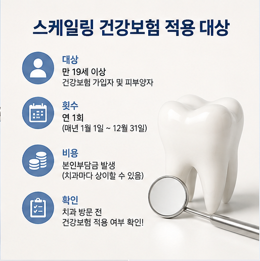 스케일링 건강보험 적용 나이 대상 기간 혜택 가격 정리