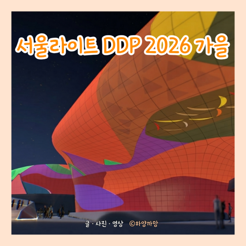 서울라이트 DDP 2026 가을｜일정·미디어파사드·공연·주차 총정리