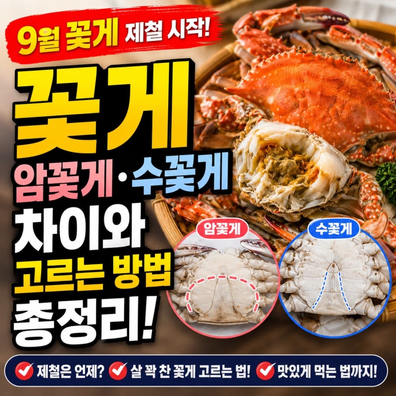 암꽃게·수꽃게 차이 구별 방법부터 맛있는 꽃게 고르는 방법까지 총정리 - 9월 꽃게 제철, 왜....