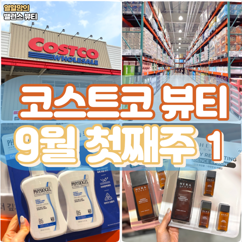 코스트코 화장품 9월 첫째주 헤라 옴므 피지오겔 할인 품목 정리 1편