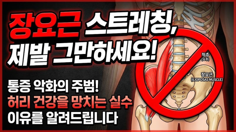 장요근 운동 비법 대공개: 고관절 소리 나고 엉덩이 납작한 분들 필독!
