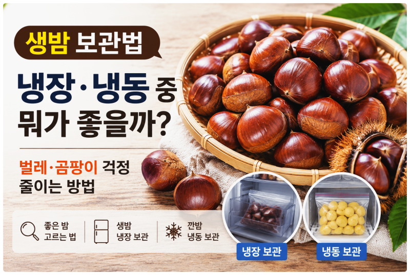생밤 보관법｜냉장·냉동 중 뭐가 좋을까? 벌레·곰팡이 걱정 줄이는 방법