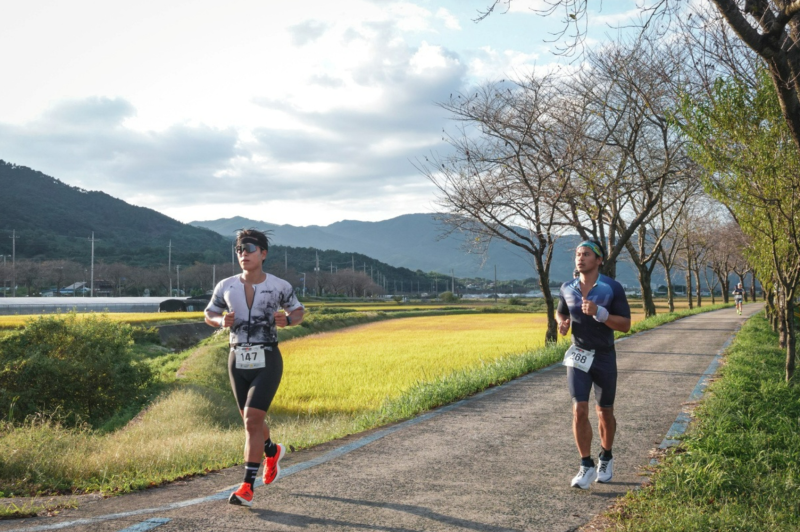 아이언맨 철인3종은 왜 226km일까? 수영·자전거·마라톤 거리 총정리