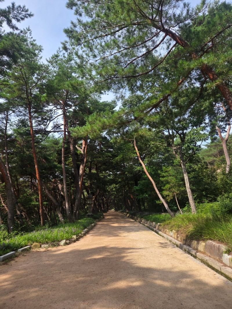 양산 무풍한송로(통도사 가는 길) 후기(통도사 1편)