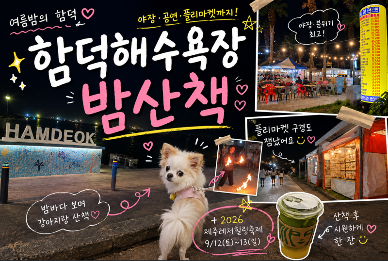 제주 함덕해수욕장 밤산책, 야장 구경하고 2026 제주레저힐링축제까지