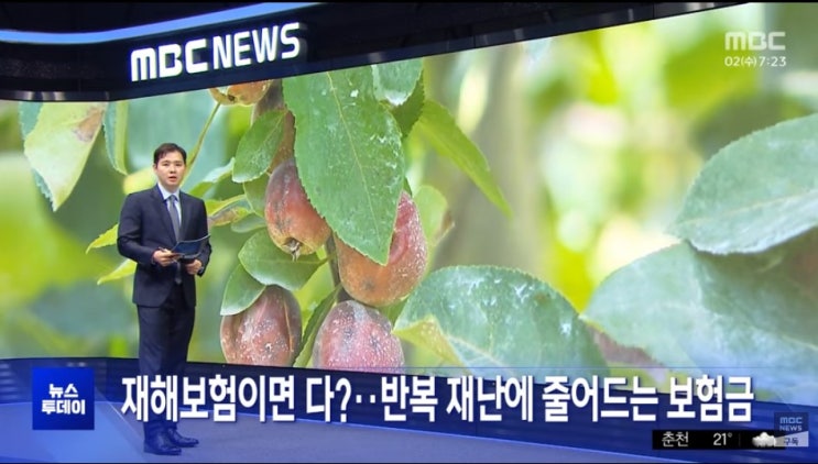 재해보험이면 다?‥반복 재난에 줄어드는 보험금 [mbcNEWS]