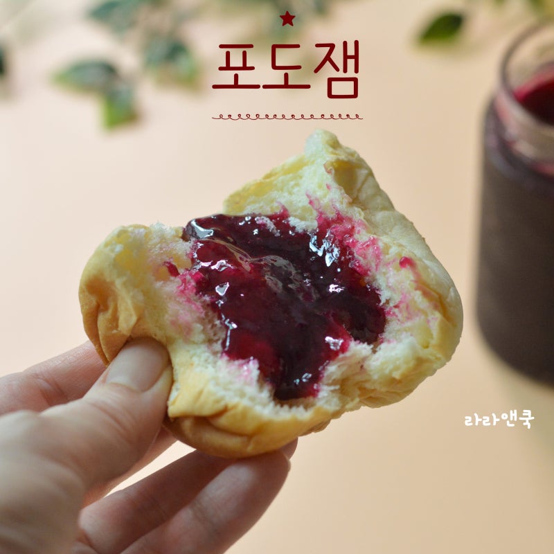 제철 캠벨포도 요리 | 수제 포도잼 만드는 법 (비율 & 보관법)