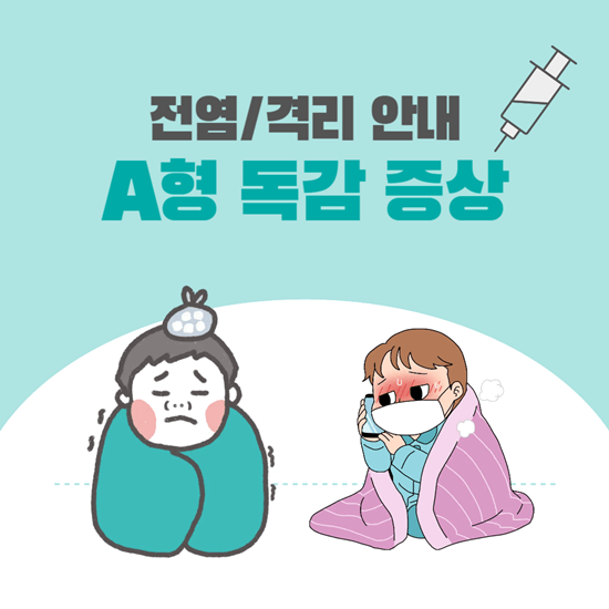 a형 독감 증상 및 전염 여부, 격리 꼭 해야 하나