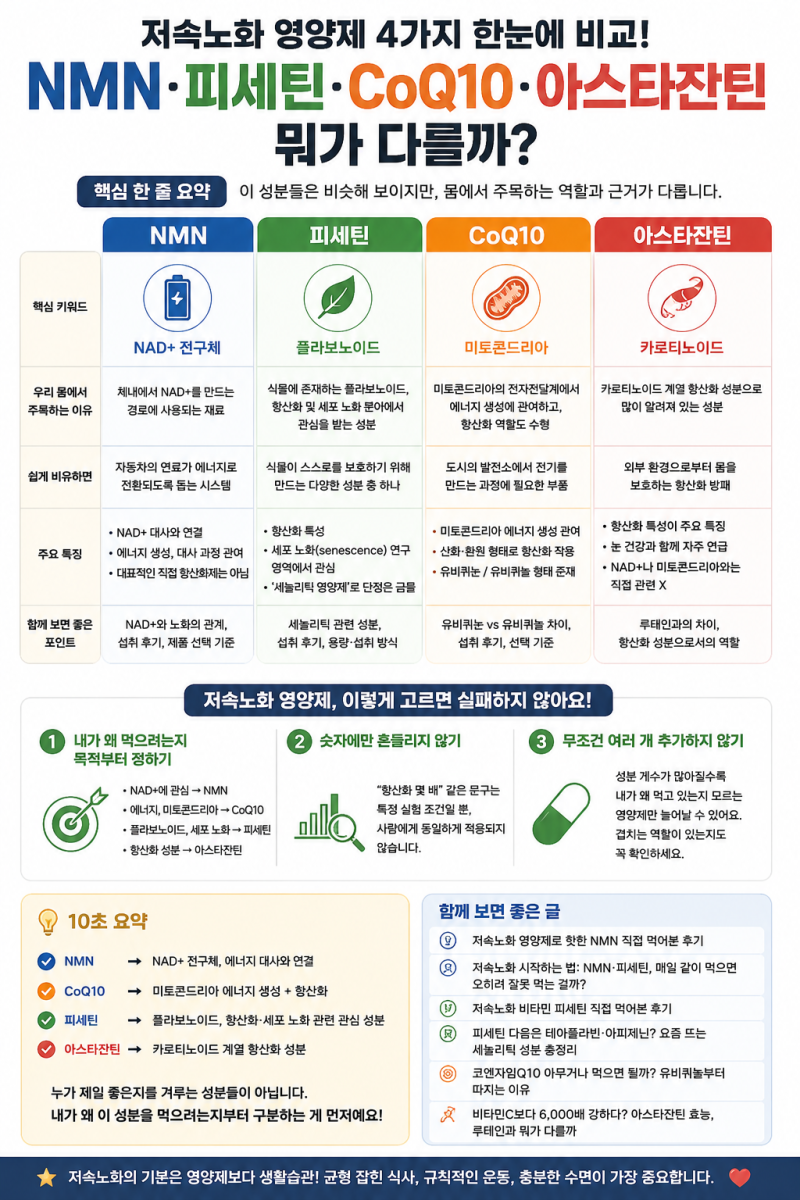 저속노화 영양제 총정리 | NMN·피세틴·CoQ10 다 먹어야 할까?