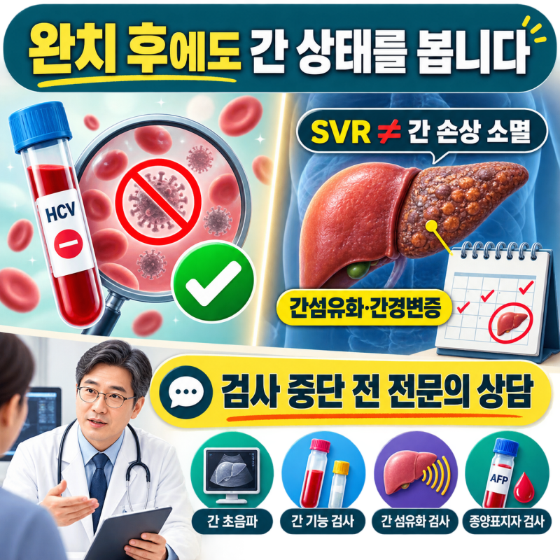 C형간염 ‘완치’ 판정 뒤에도 간암 검사를 계속해야 할까? 남은 간 손상이 가르는 추적관리