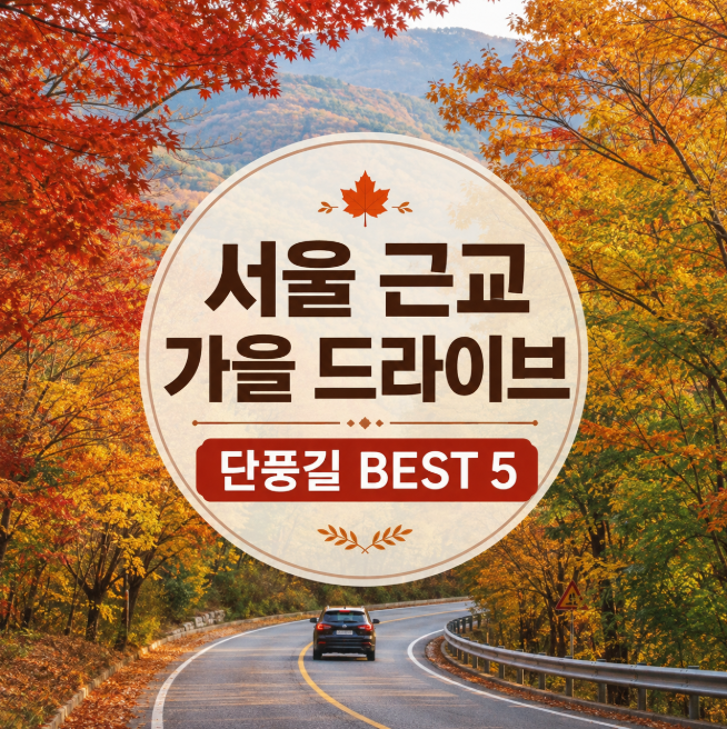 서울 근교 가을 드라이브 어디로 갈까? 단풍길 예쁜 BEST 5