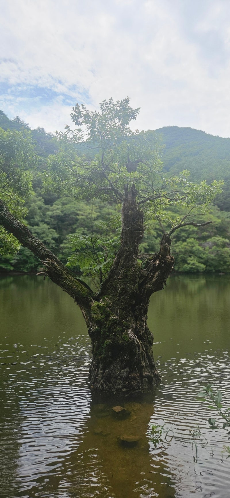 [청송여행] 조선시대 저수지