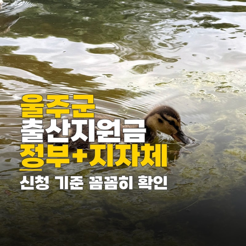 울주군 출산지원금, 정부 지자체 혜택 총정리 신청 기준