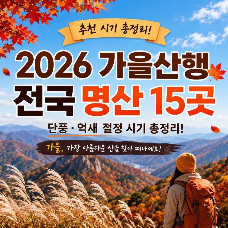 가을에 꼭 가봐야 할 산 2026 전국 단풍 명산·억새 명소 15곳 추천