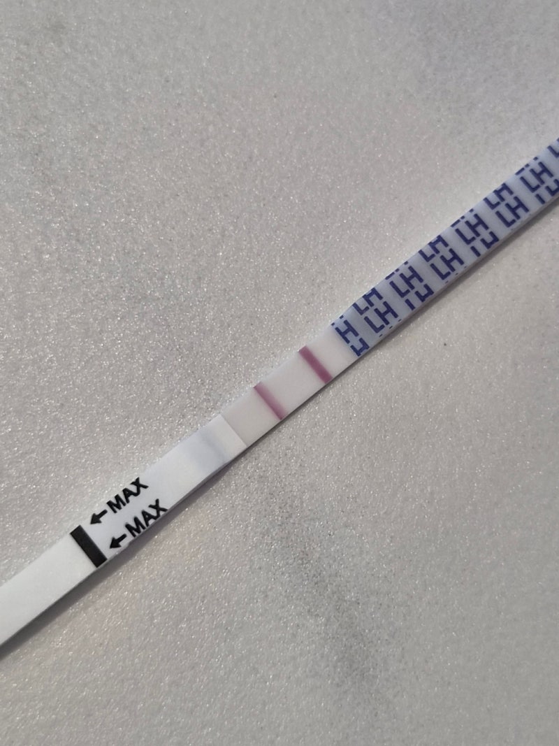자연 임신 준비, 배테기 사용법, 배테기 피크 보는 법, 숙제는 언제하면 좋을까?