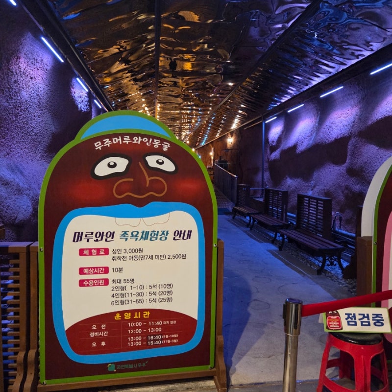 무주여행* 머루와인동굴 솔직후기 주차,관람팁/반딧불시장 장날구경/아이랑 갈만한 곳