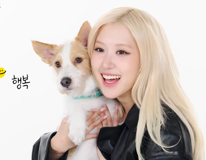 “어? 행크가 여기 왜 있어?” 로제의 애장템 공개에 팬들 깜짝