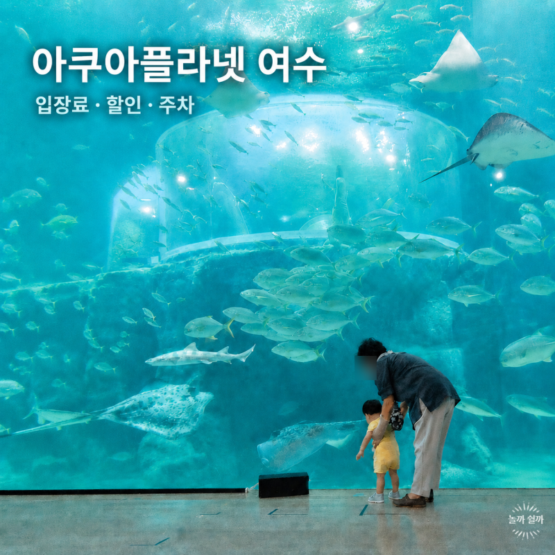 [여수 아이와] 아쿠아플라넷 여수｜섬박람회 상호 30% 할인 · 주차