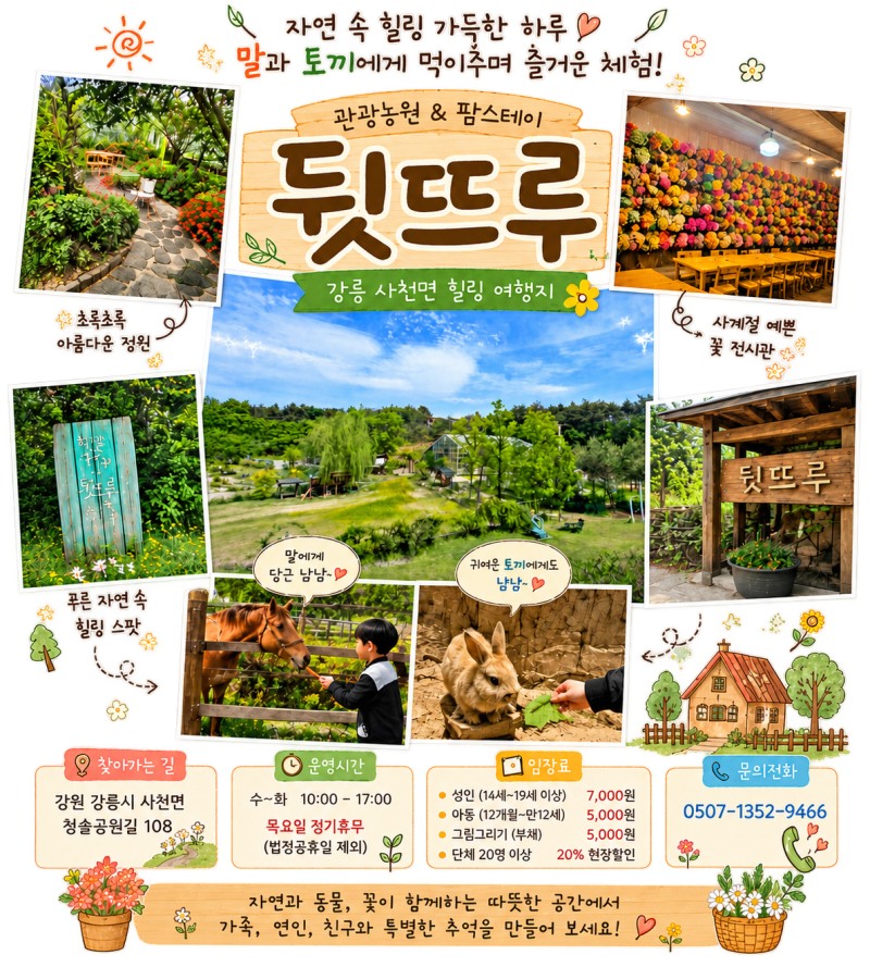 [강릉 주말나들이]"뒷뜨루" 관광농원 꽃정원·동물체험 후기