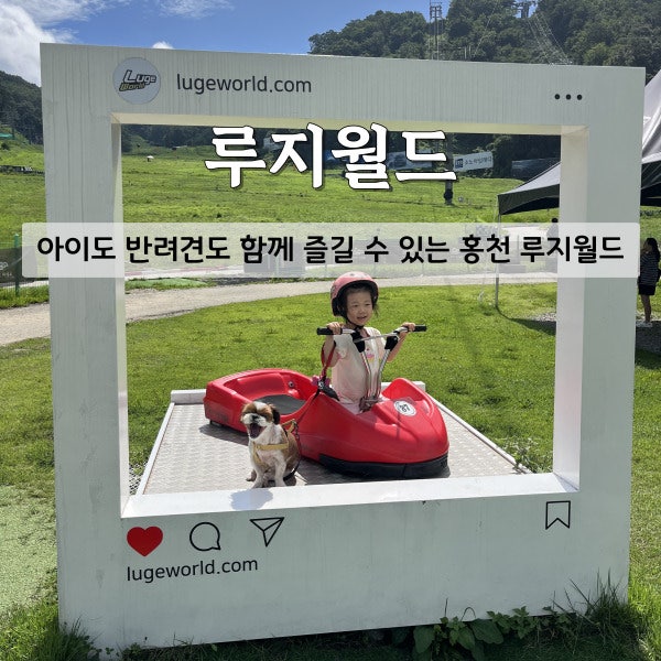 [홍천 아이와 가볼만한 곳] 반려견 동반 가능한 비발디파크 홍천 '루지월드' 솔직후기
