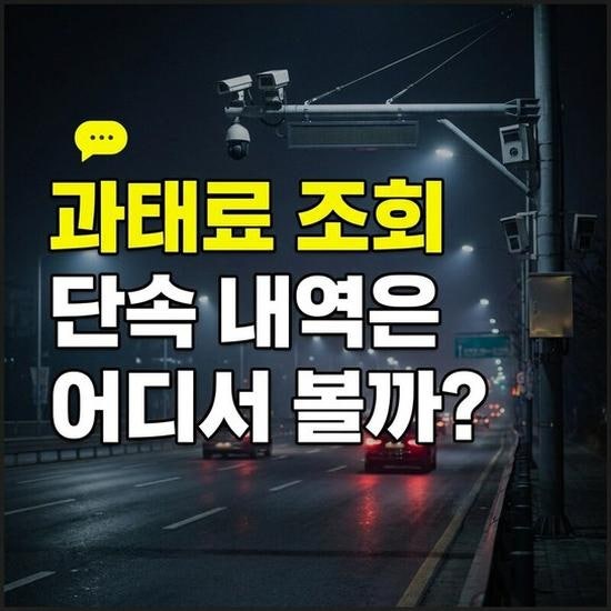 주정차 및 신호위반 속도위반 과태료 조회 3가지 방법(단속알림서비스)