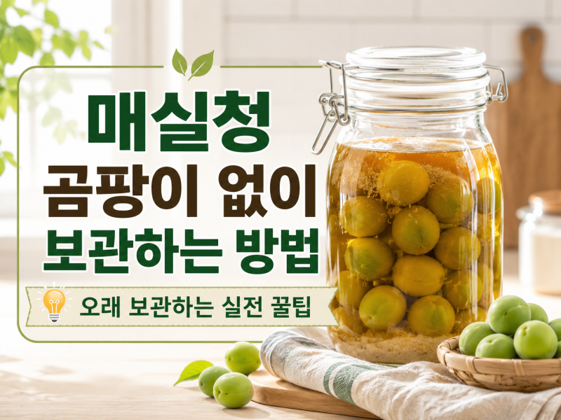 매실청 곰팡이 없이 보관하는 방법
