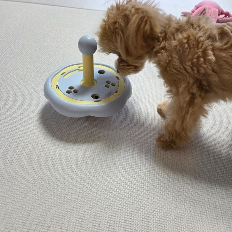 코스트코펫매트 추천 파크론 펫노리터 펫 롤매트 강아지 슬개골 지킴이