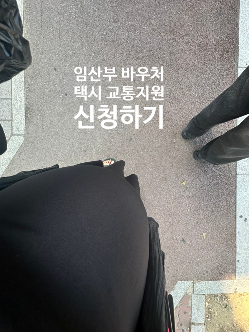 경기도 안양시 임산부 바우처 택시 교통지원 신청하기, 특별교통수단 신청방법